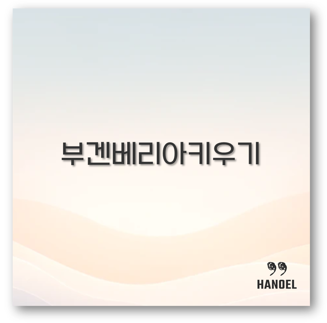 부겐베리아키우기