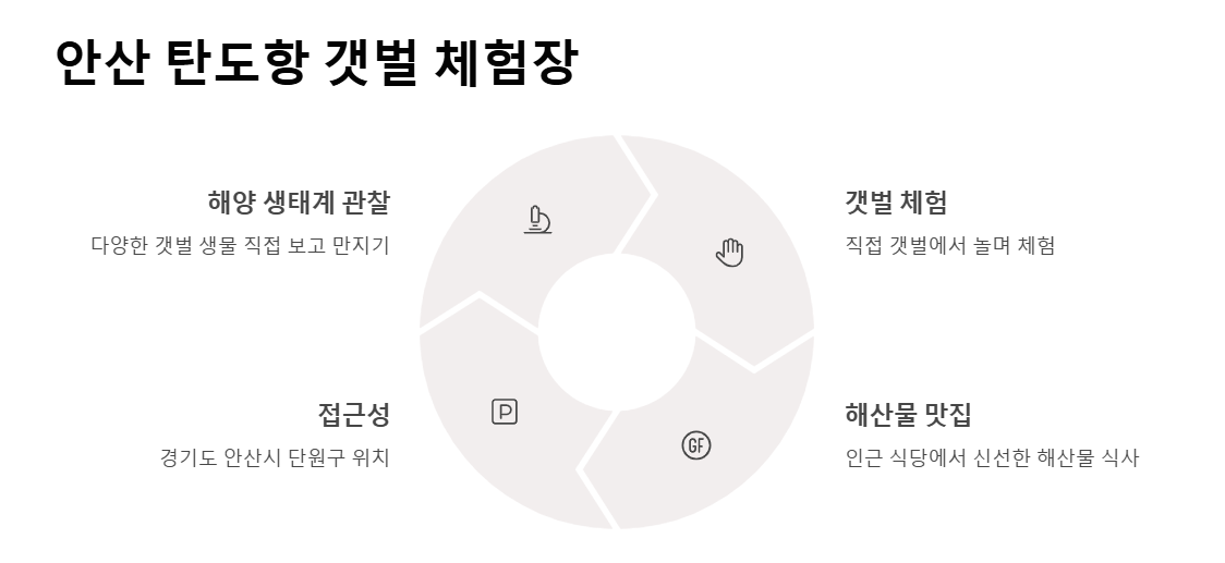 경기도 갯벌 체험지 BEST 5