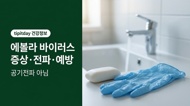 에볼라 바이러스 증상과 전파경로
