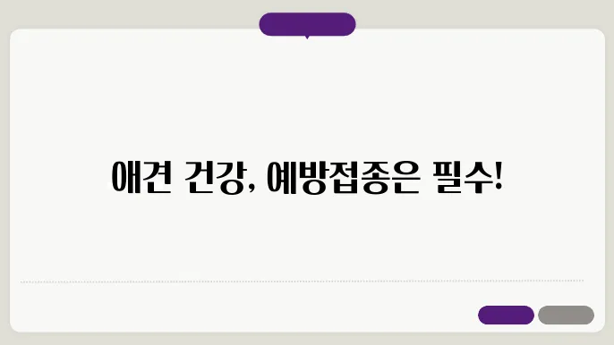 애견 예방접종 시기