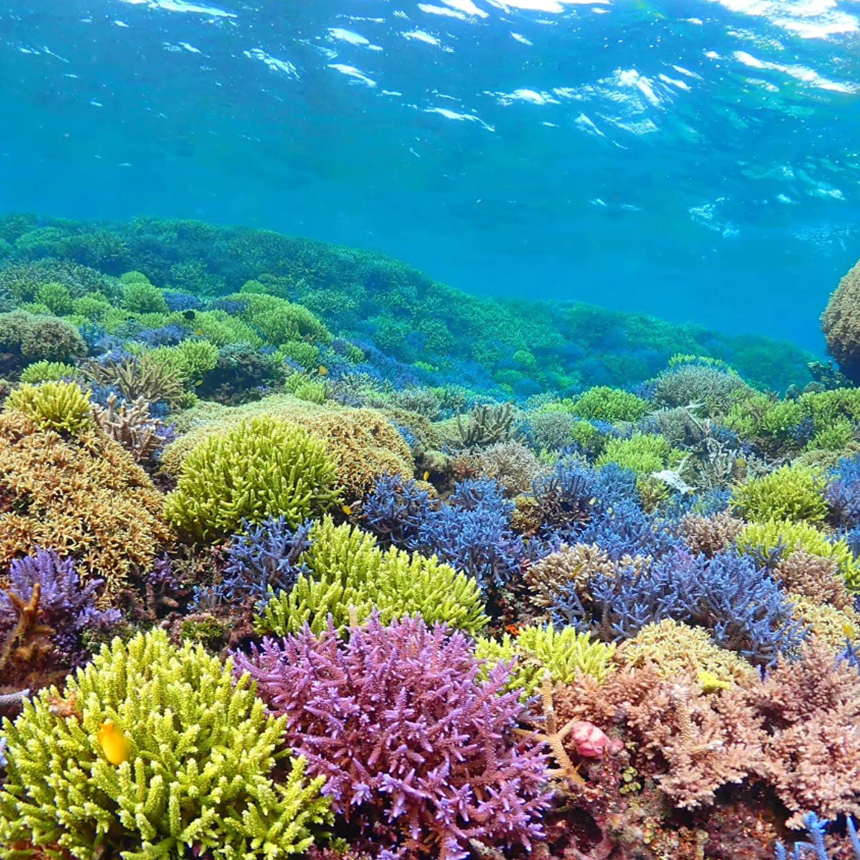 미야코지마 여행 06