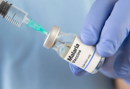 말라리아 증상, 예방접종, 모기 총정리 (2024ver)