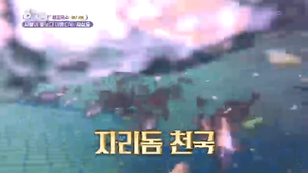 [6시내고향]경남 거제 낚시 야외 웨딩(결혼식) 예약 연락처 정보