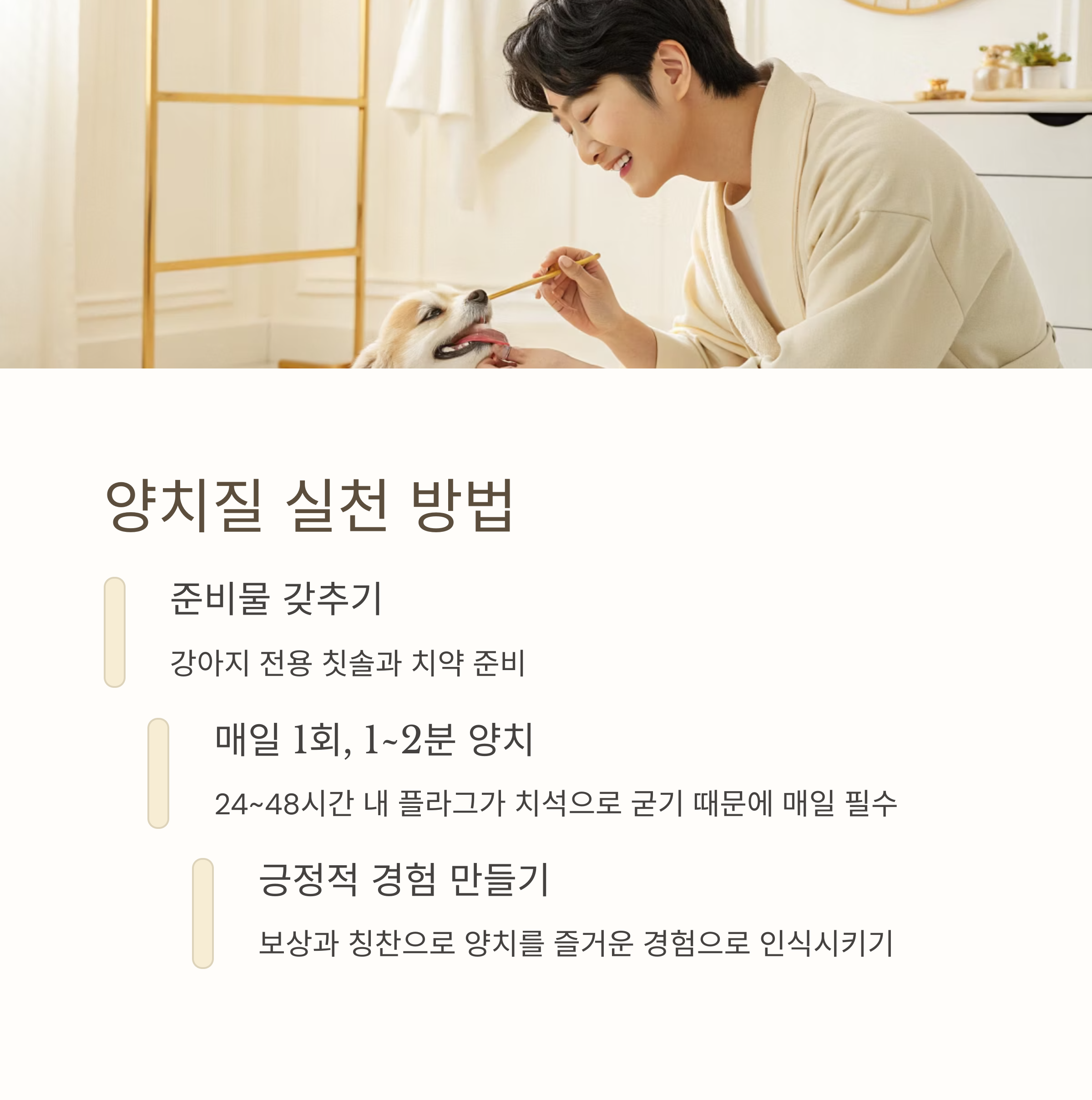 양치질 실천 방법