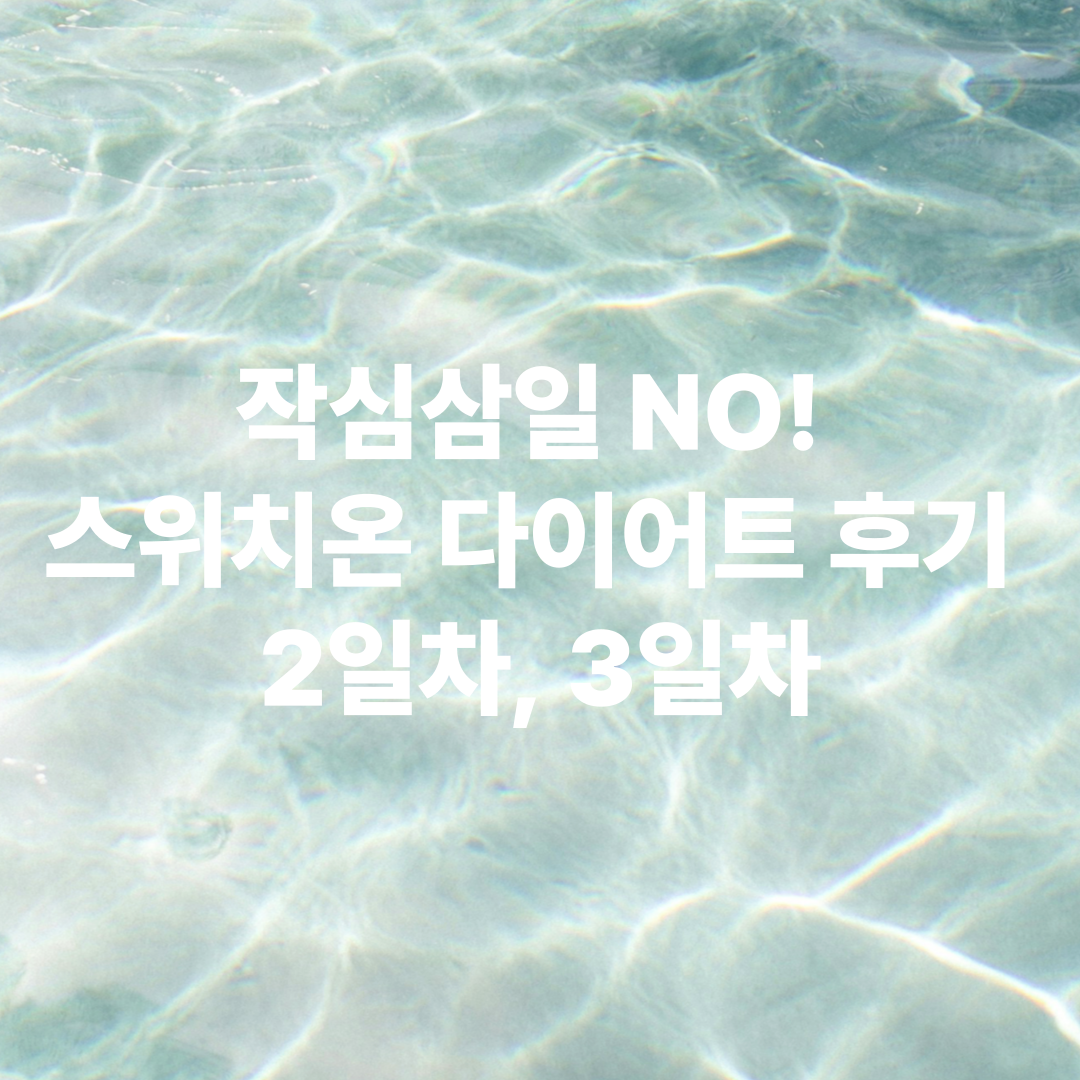 작심삼일 NO! 스위치온 다이어트 후기 2일차, 3일차 리얼 체험 공유