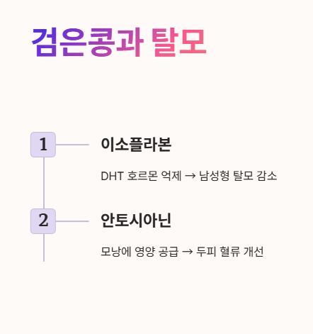 검은콩과 탈모