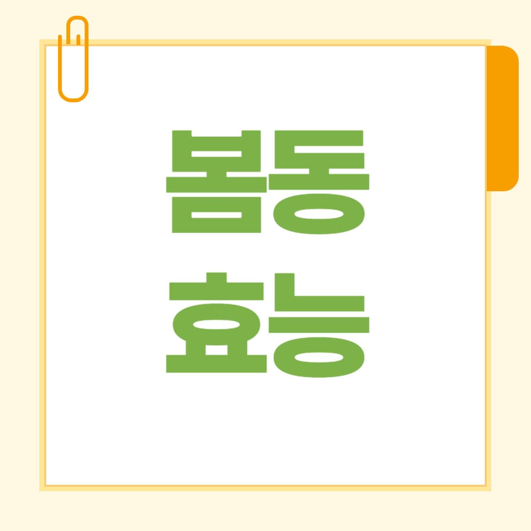봄동 효능 총정리 지금 꼭 먹어야 할 봄 제철 건강식