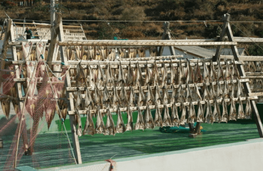 6시 내고향 통영 추도 반건조 생선 택배 주문 및 숙박예약 방법 윤성호추도물메기 (추도 배편 예약 방법)
