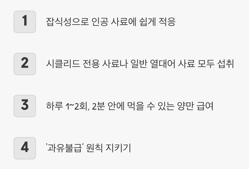 먹이 - 가리지 않는 &amp;#39;튼튼한 식성&amp;#39;