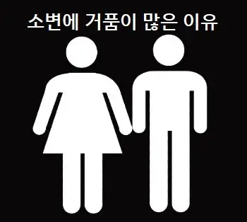 소변에 거품이 많은 이유