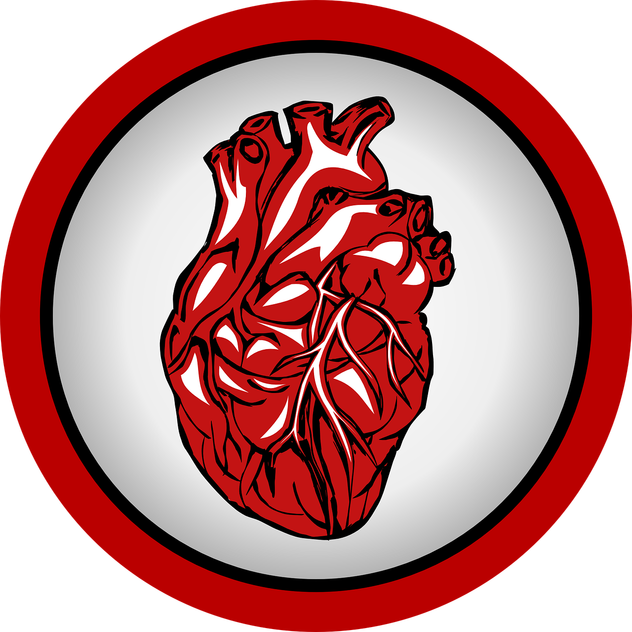 심장과 관련된 사진