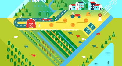 임업직불금 신청