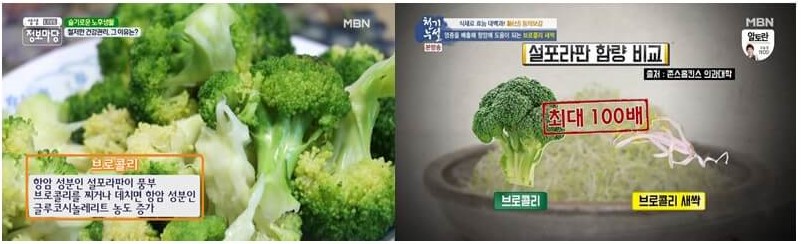 브로콜리 효능_암 예방