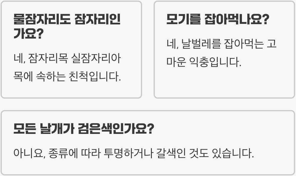 검은 날개의 귀족, 물잠자리와 일반 잠자리의 결정적 차이점 3가지