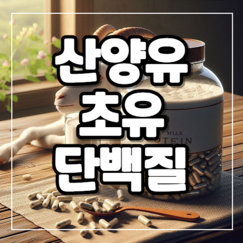 산양유 초유단백질 효능과 부작용