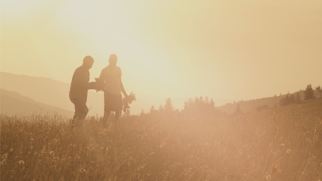 Harvest