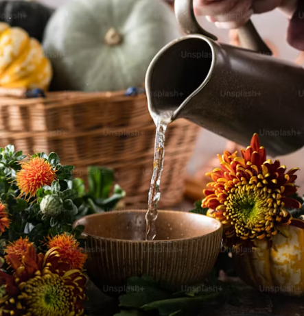 청호나이스 고객센터 전화번호, AS 신청 방법