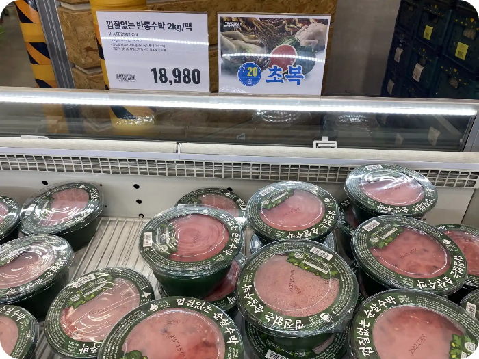 트레이더스-고양