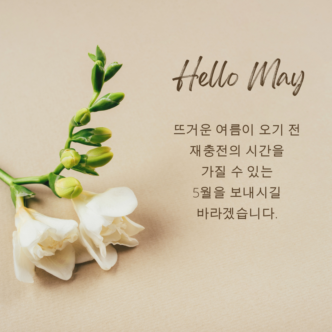 5월 인사말 문구 모음집 이미지