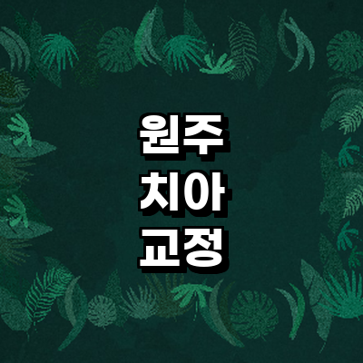 원주시 교정 치과