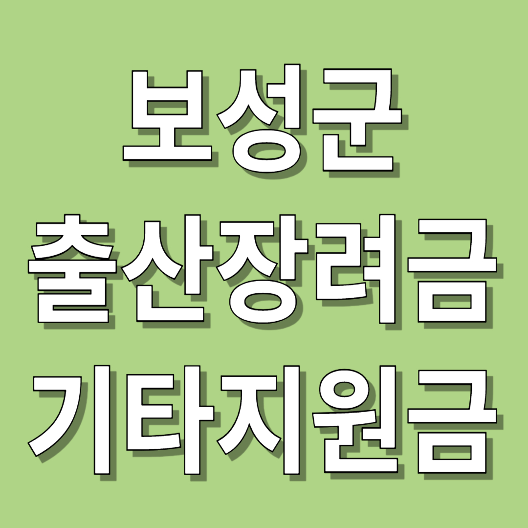 보성군 출산장려금