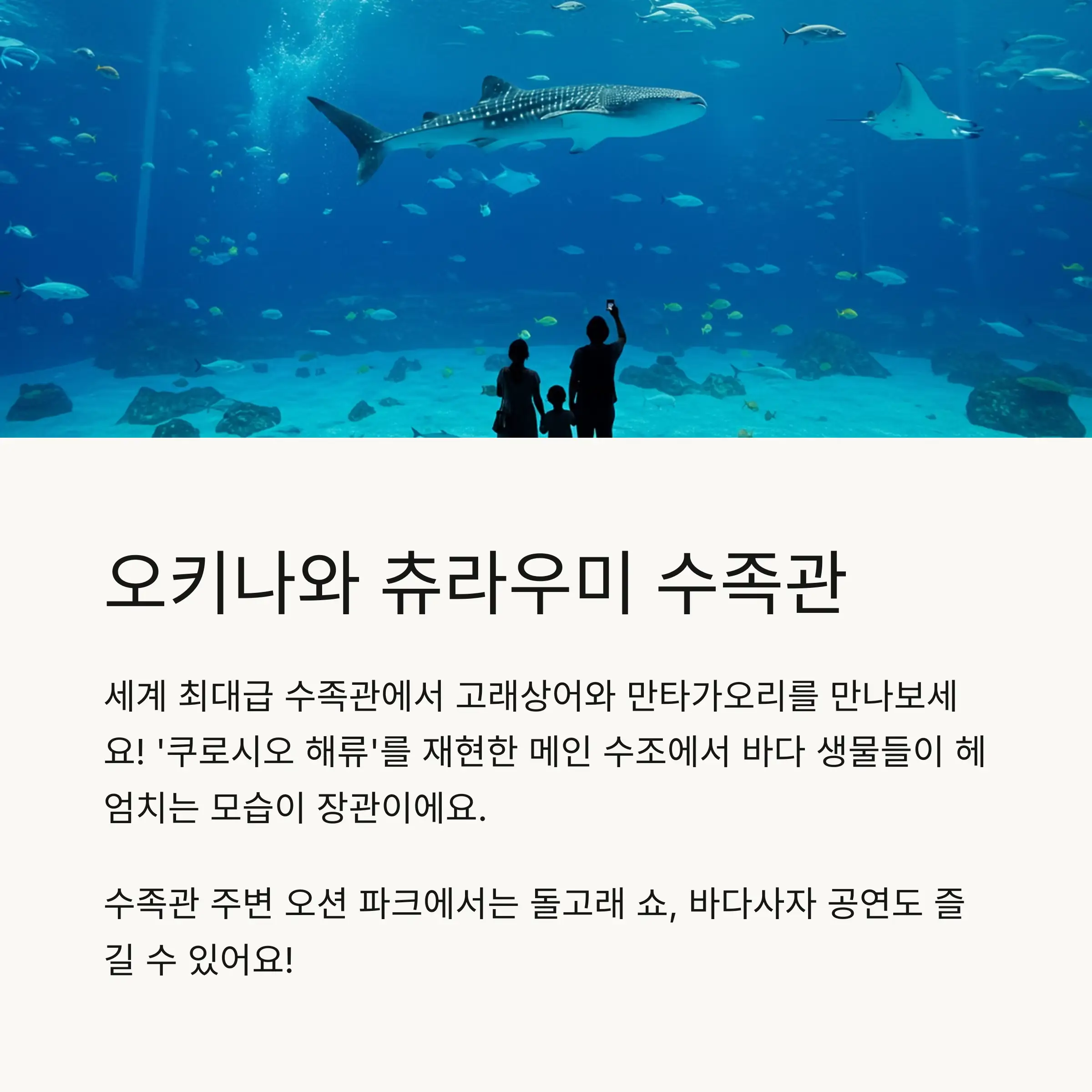 🎢 오사카・간사이 지역 가족여행 명소