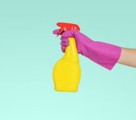 가사도우미, 가정부에 대하여 알아보기