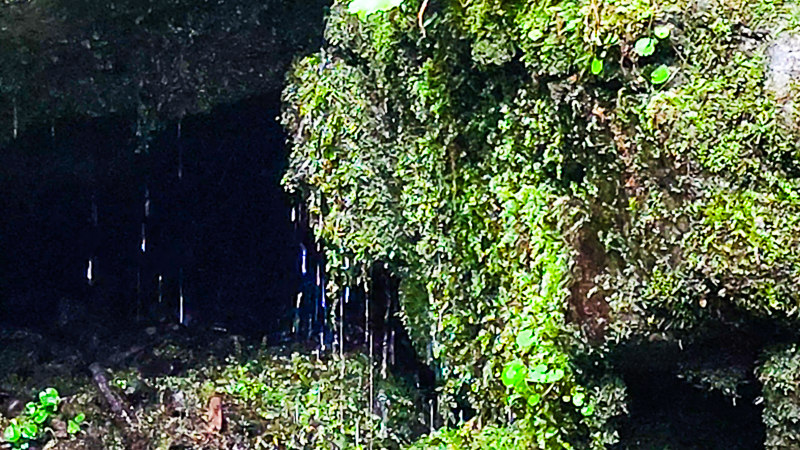 가리왕산 이끼계곡