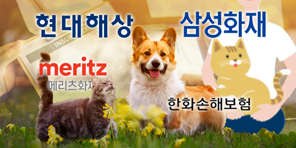 펫보험 비교 추천 총정리