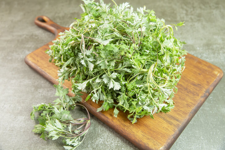 쑥을 뜯어서 모아 놓은 사진