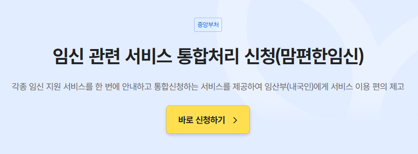 임산부 철분제 엽산