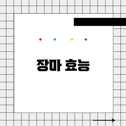 장마 효능