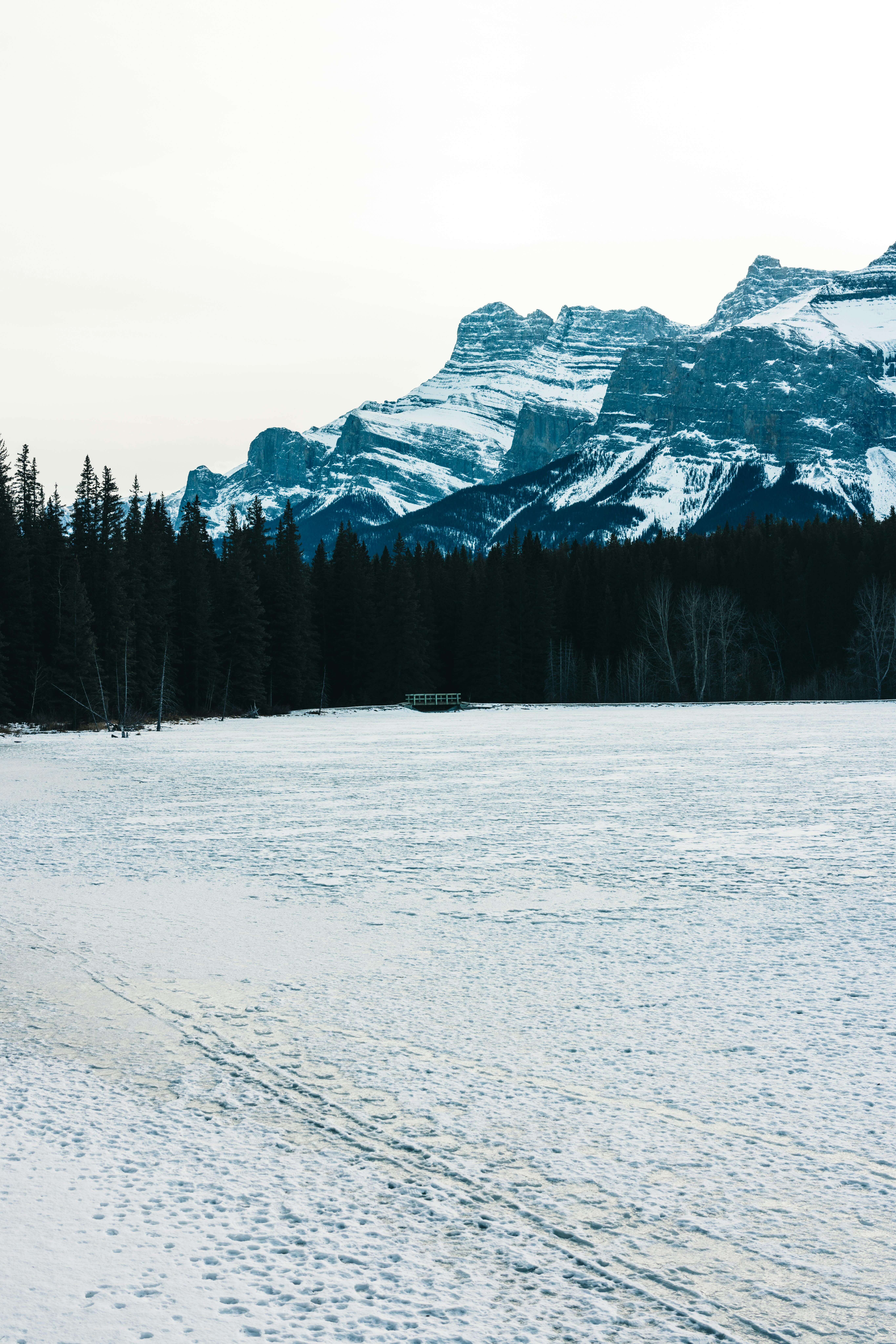 빙어낚시 잘하는 법