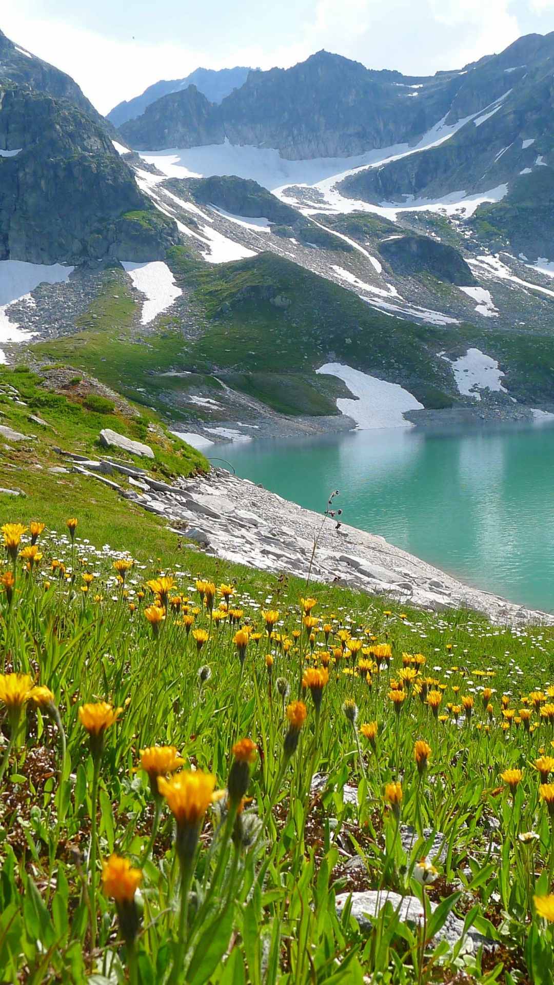 Flower wallpaper