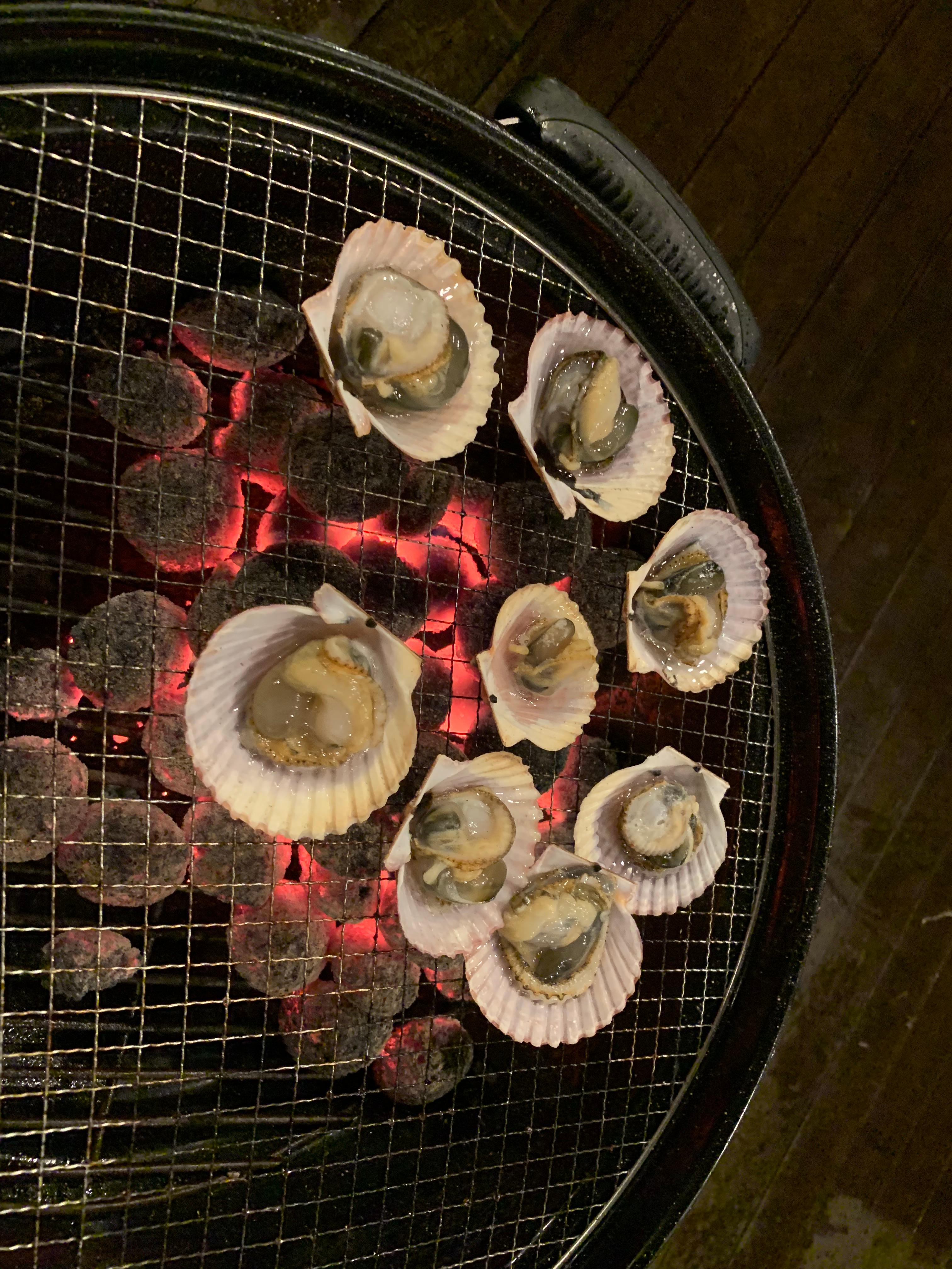 제주도에서 찾은 감성 글램핑 숙소 어라운드폴리 리뷰 - 겨울 에어스트림 숙박 후기