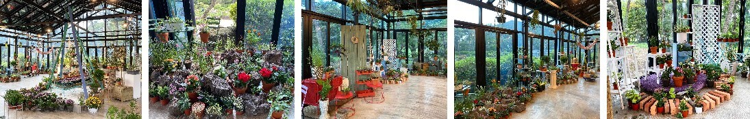 벽초지 수목원 가을꽃 국화축제에는 동양과 서양의 모습을 모두 볼 수 있는 수목원입니다