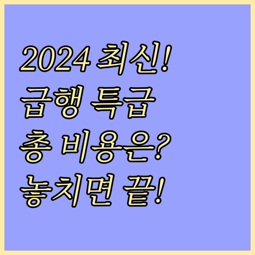 2024년 중국 비자 급행 특급 발급..