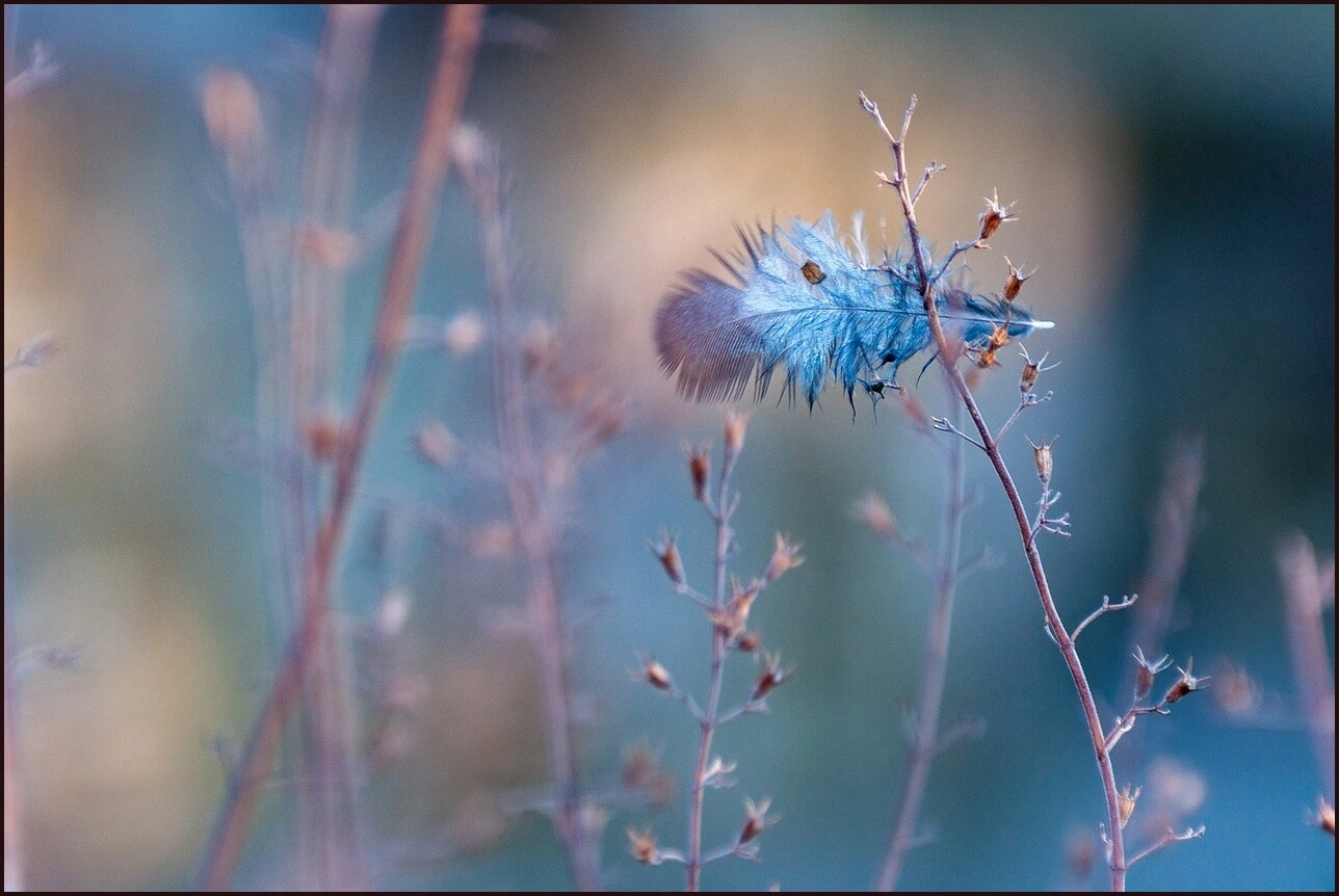 예금이자 가장 높은 은행