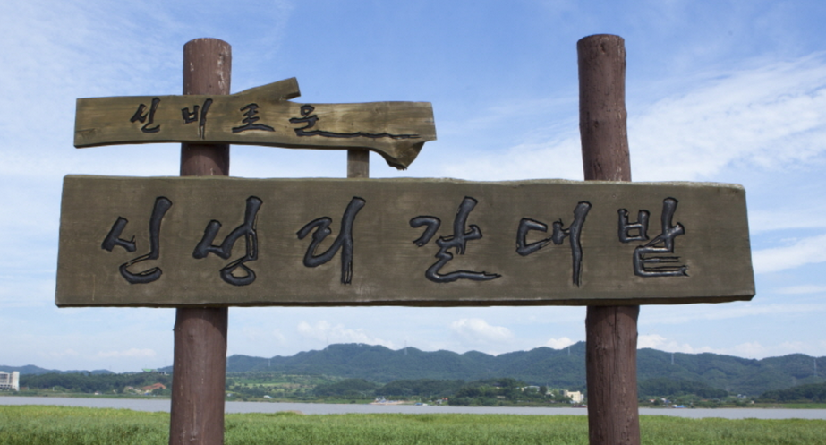 신성리-갈대밭-간판