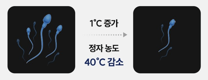 미국 하버드대학 연구결과