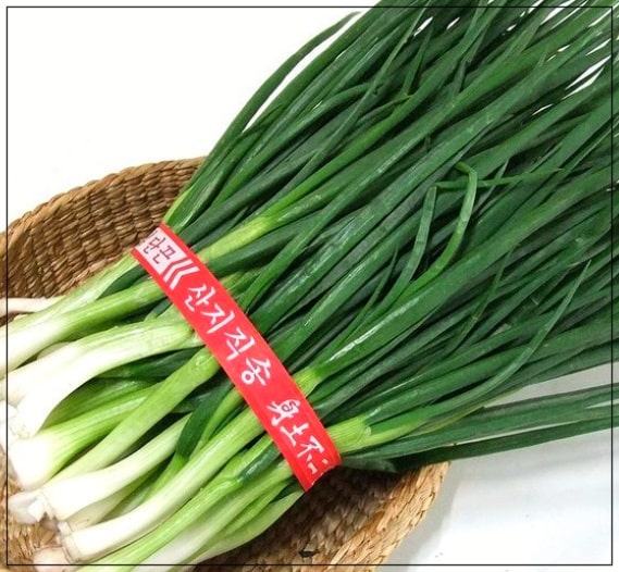 쪽파효능-혈관건강