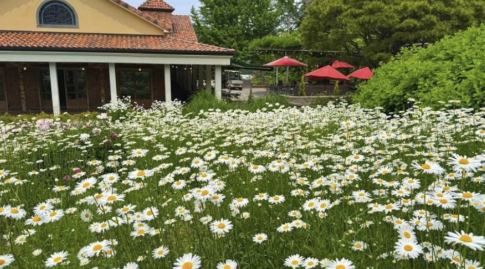 만경비원 실내 온실의 희귀 분재와 이색 식물