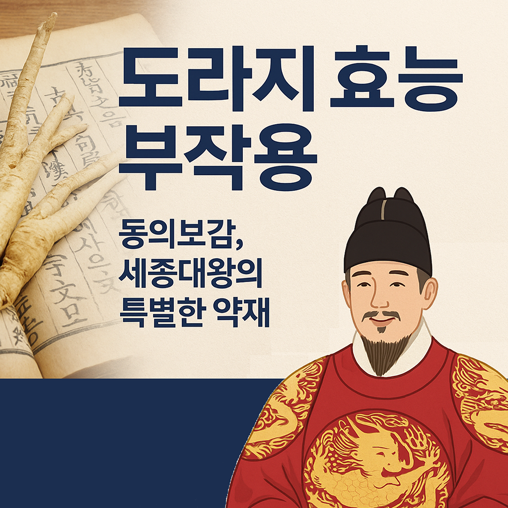 도라지 효능 부작용