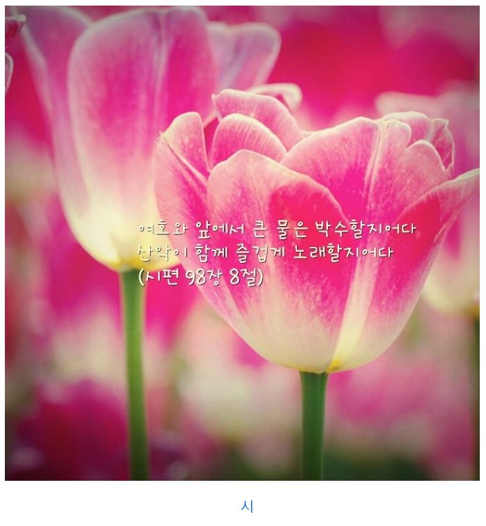 시편 98편