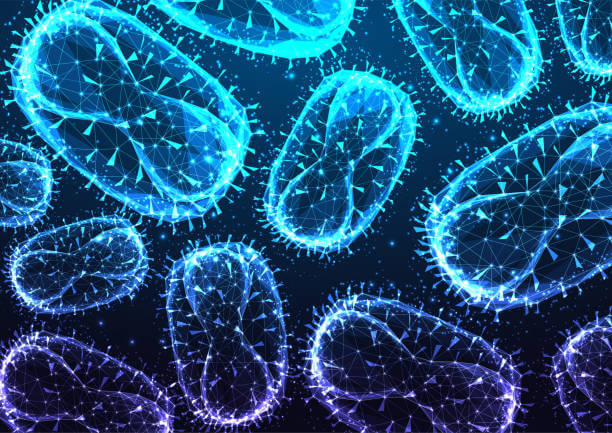 엠폭스 피부 발진 사진