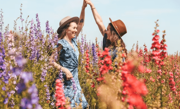 푸룬의 숨겨진 효능: 뼈 건강/콜레스테롤 개선