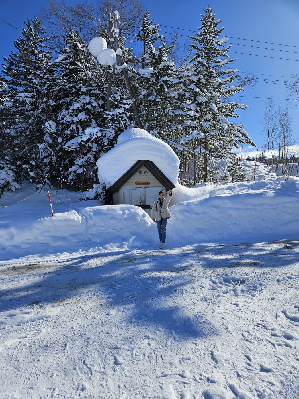 비에이-투어-흰수염폭포-근처-어딘가-나의사진