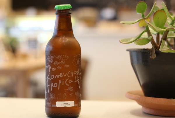콤부차-Kombucha