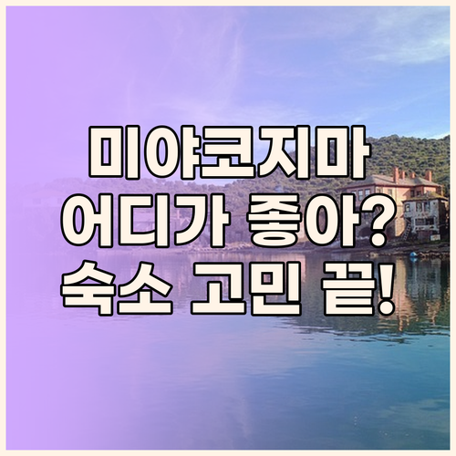 미야코지마 힐튼 vs 로커스 vs 토