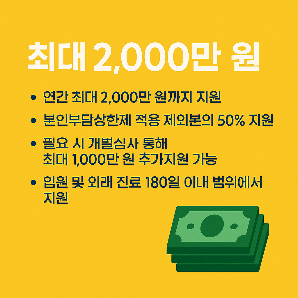 재난적 의료비, 고액병원비 지원, 암 치료비, 희귀질환 수술비, 비급여 지원제도, 건강보험공단, 중증질환자 의료비, 의료비 보조금, 정부 의료비 지원, 의료취약계층 지원